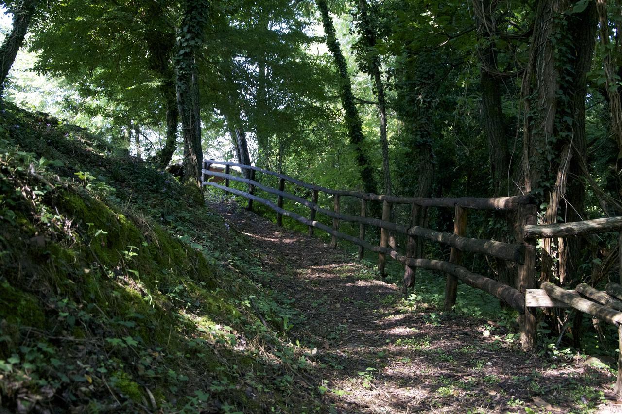 Fattoria Alvaneta Padula Exterior foto